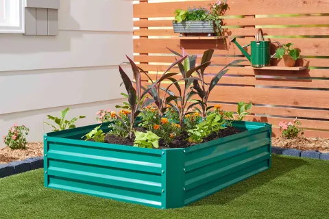 Raised beds