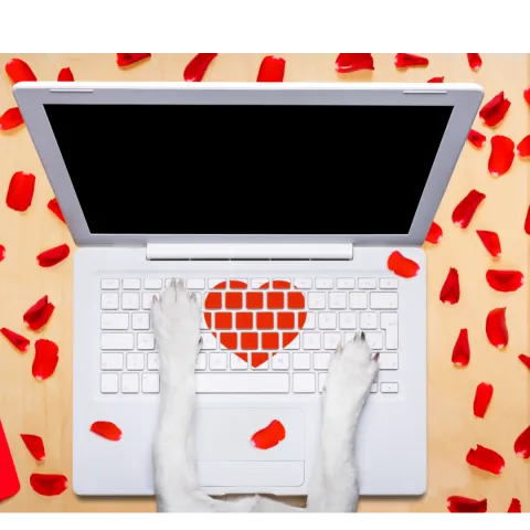 Valentine Computer