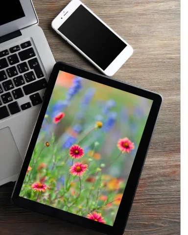 Tablet and smartphone on desk