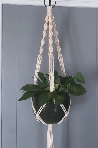 Macrame plant holder