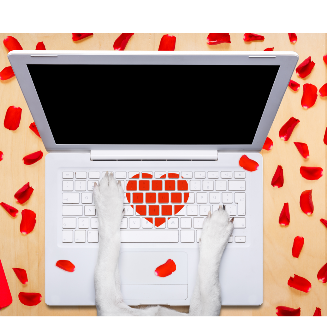Valentine Computer