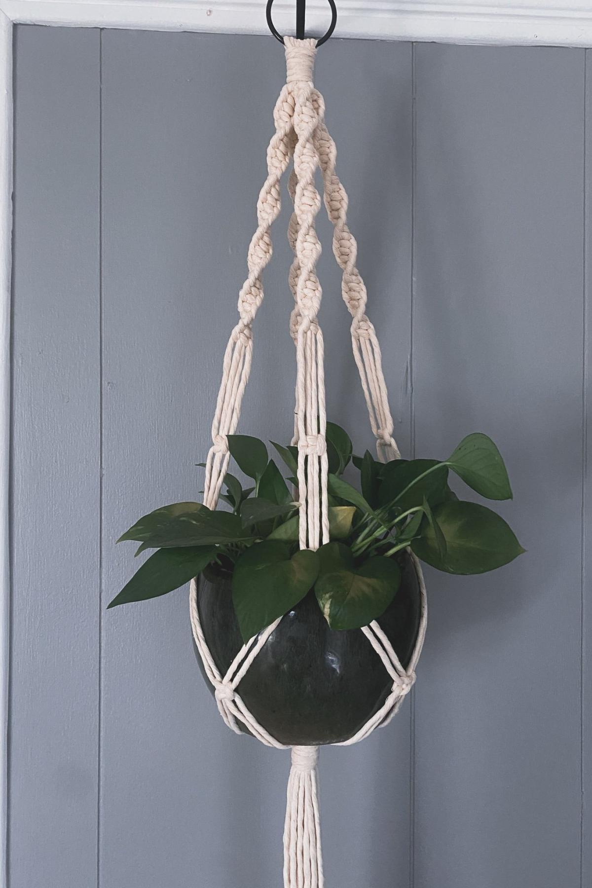 Macrame plant holder